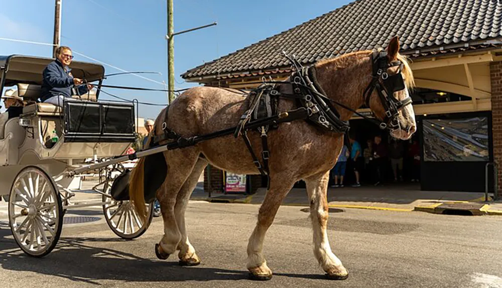 A horse-drawn carriage with passengers is stationary on a sunny day presumably waiting at or near a station