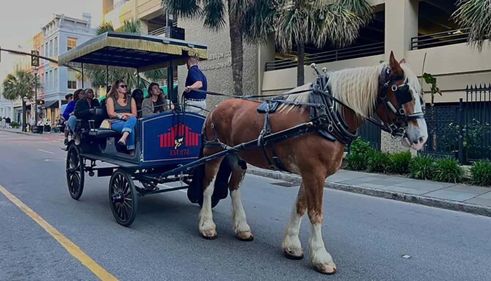 A horse-drawn carriage carries passengers along a city street suggesting a tour or leisure activity in an urban setting