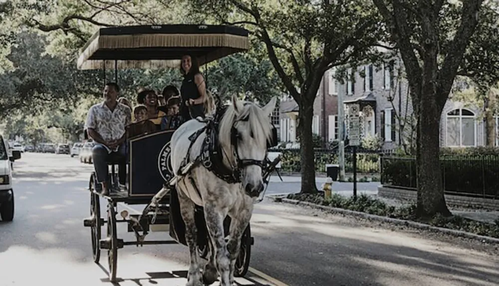 The image depicts a horse-drawn carriage with passengers enjoying a ride on a street lined with trees and houses