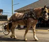 A horse-drawn carriage with passengers is traveling along a tree-lined street accompanied by a guide