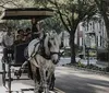 A horse-drawn carriage with passengers is traveling along a tree-lined street accompanied by a guide