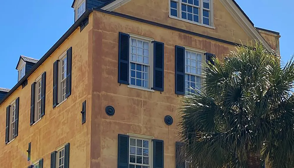 The image shows the upper portion of a yellow-painted building with dark green shutters on the windows set against a clear blue sky and partially obscured by the fronds of a palm tree in the foreground