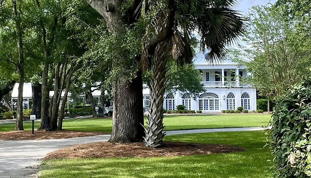 A classic white two-story house with a large porch and columns is partially obscured by lush greenery and a prominent palm tree in the foreground