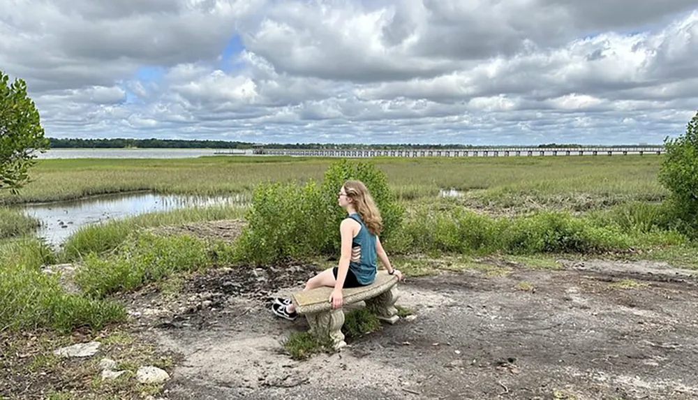 A person is sitting on a bench facing a lush wetland with a long boardwalk in the distance under a partly cloudy sky