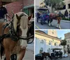 A horse-drawn carriage with passengers is being guided by a coachman down an urban street