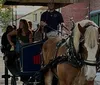 A horse-drawn carriage with passengers is being guided by a coachman down an urban street