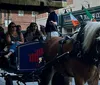 A horse-drawn carriage with passengers is being guided by a coachman down an urban street