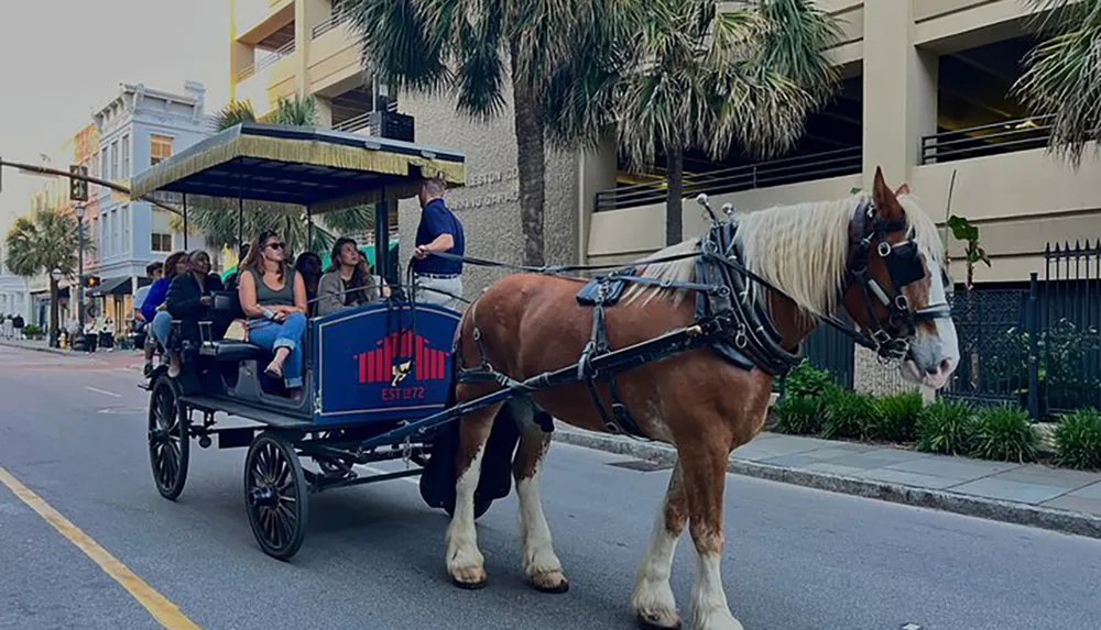 A horse-drawn carriage is transporting people down a city street lined with palm trees