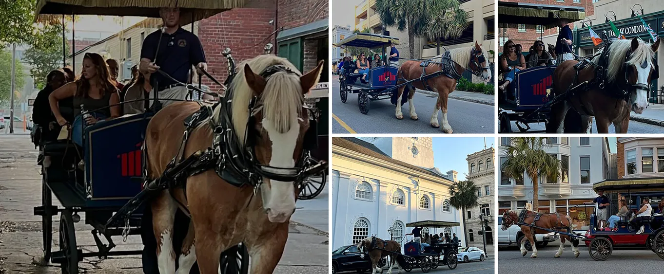 Evening Haunted History Carriage Tour in Charleston