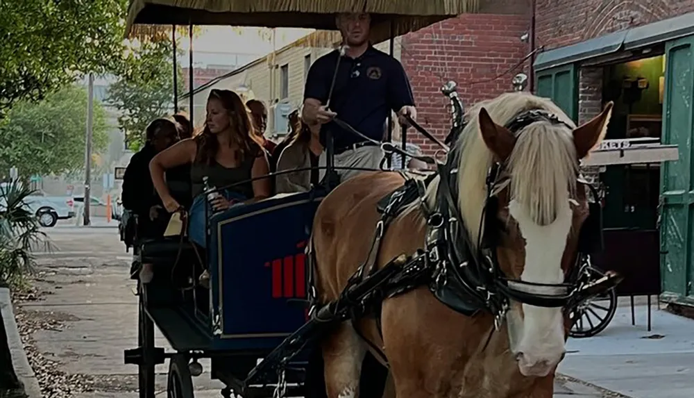 A horse-drawn carriage driven by a coachman carries passengers through a tree-lined urban street