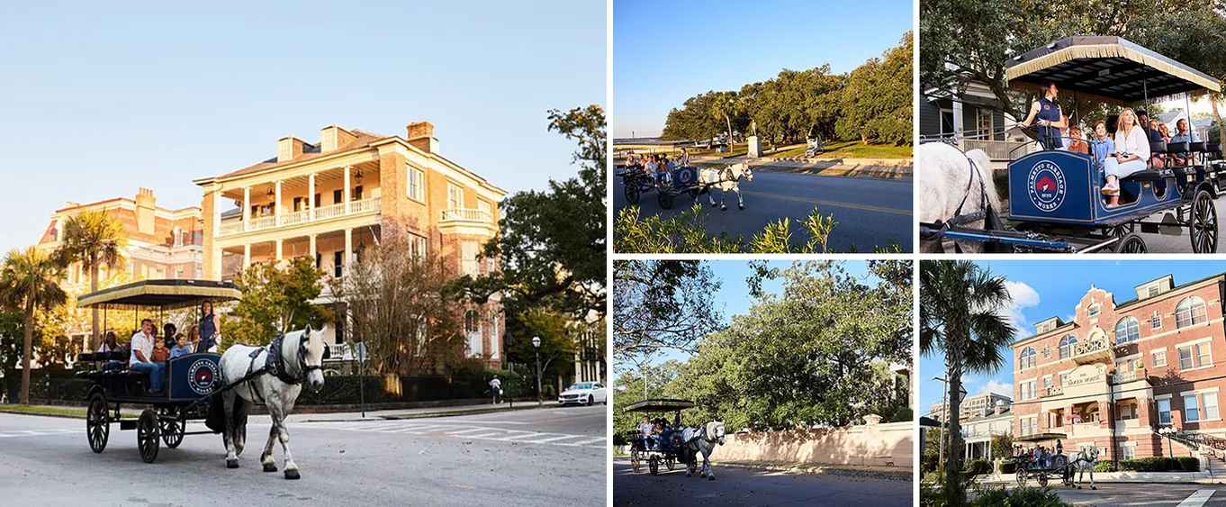 Manager's Special Horse & Carriage Tour of Charleston