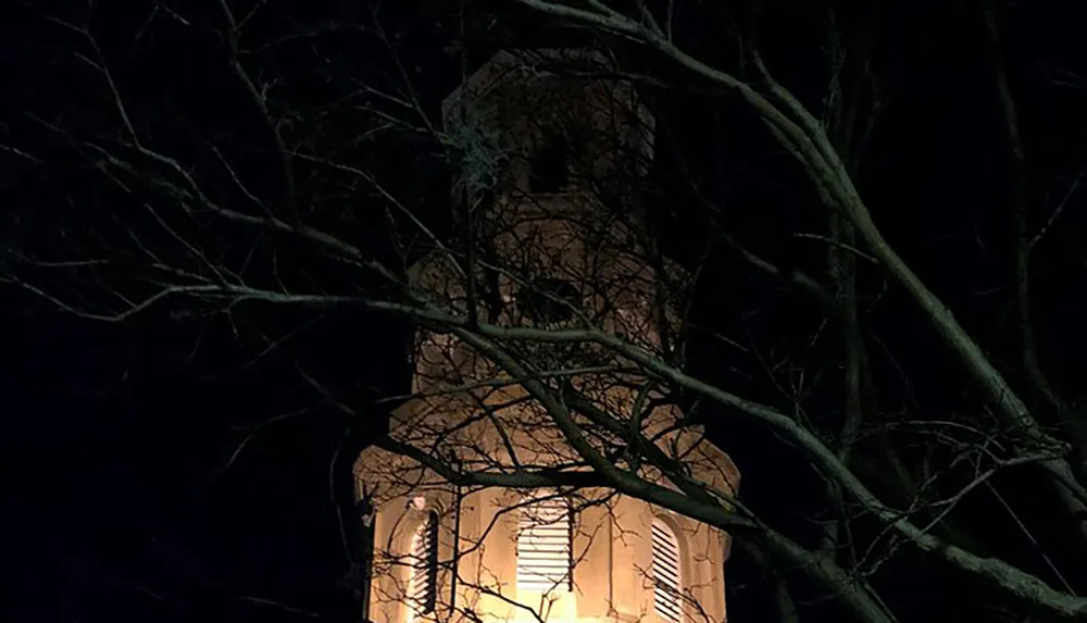 A lit tower is partially obscured by dark leafless tree branches against the night sky