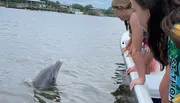 People on a boat are interacting with a dolphin that is surfacing near them.