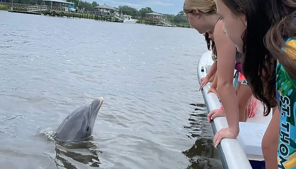 People on a boat are interacting with a dolphin that is surfacing near them