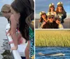 People on a boat are interacting with a dolphin that is surfacing near them