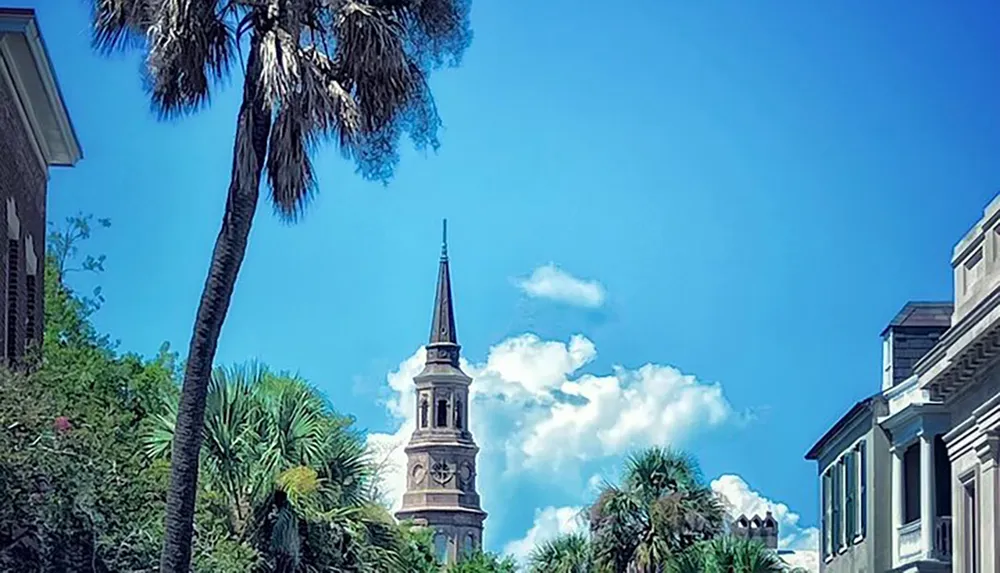 This image showcases a sunny streetscape featuring lush palm trees and historic architecture with a prominent church spire rising against a clear blue sky with a few scattered clouds