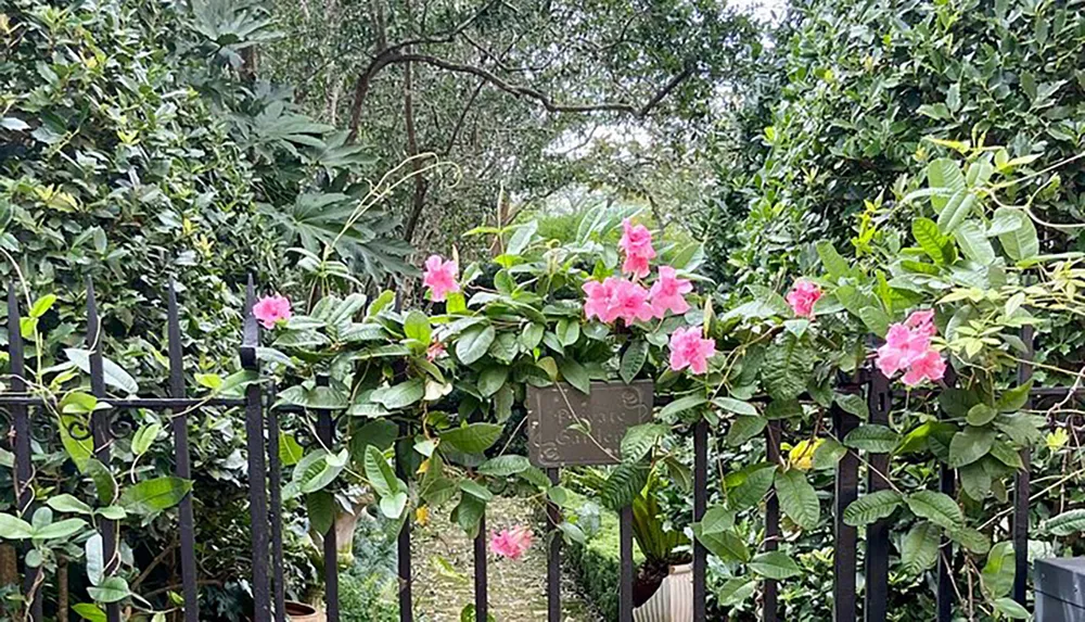 The image shows a lush garden scene with pink flowers blooming on green foliage behind a black metal fence