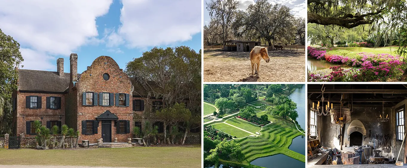 Middleton Place Guided Tour with Lunch and Transportation