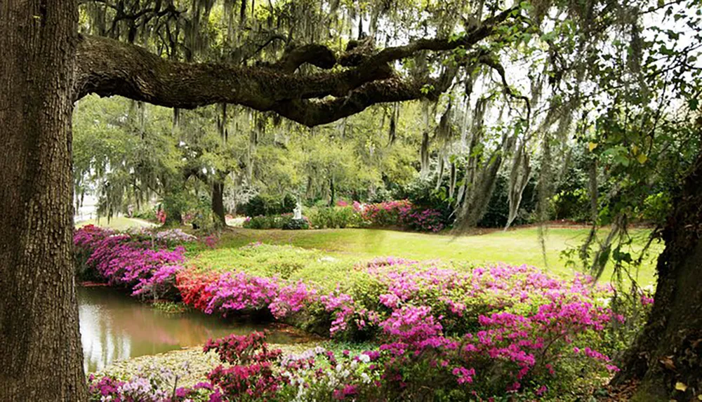 The image displays a lush garden with vibrant pink and purple flowers moss-draped trees and a serene pond evoking a sense of Southern charm and tranquility