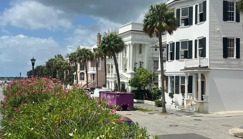 The image shows a street lined with palm trees and elegant multistory houses with a blue sky overhead and flowers in the foreground