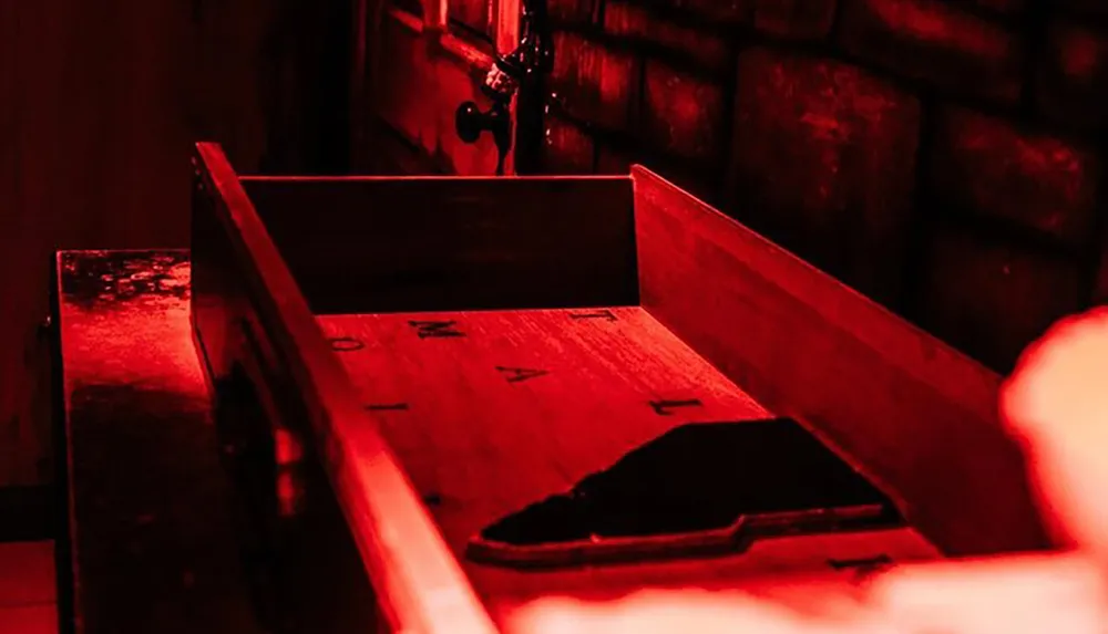 The image shows an eerie red-lit room with an empty wooden coffin creating a macabre and haunting atmosphere