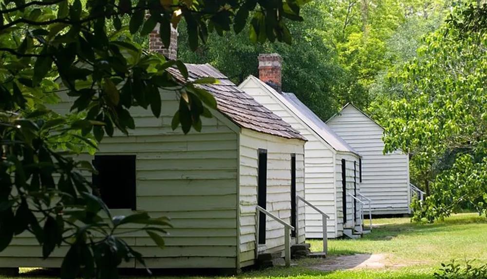 A row of old white wooden buildings with chimneys possibly historical slave quarters surrounded by trees and foliage