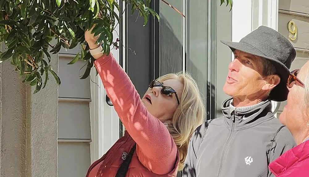 A person is reaching up to touch or pick something from a tree while others look on in a sunny outdoor setting