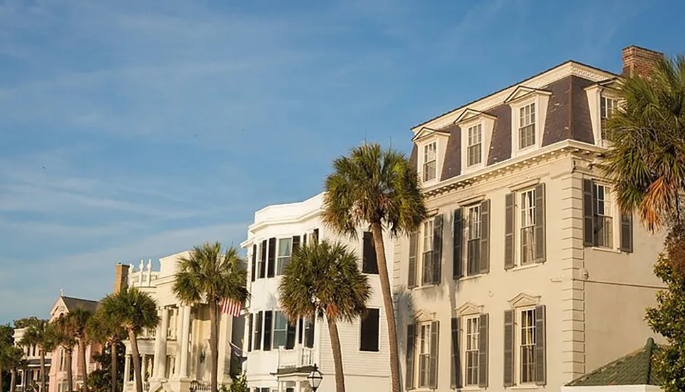 The image shows a sunny row of elegant historical houses with tall windows framed by palm trees under a clear blue sky