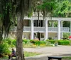 The image shows a classic southern-style manor with large columns surrounded by a lush garden and Spanish moss-draped trees where people are leisurely spending time in its tranquil setting