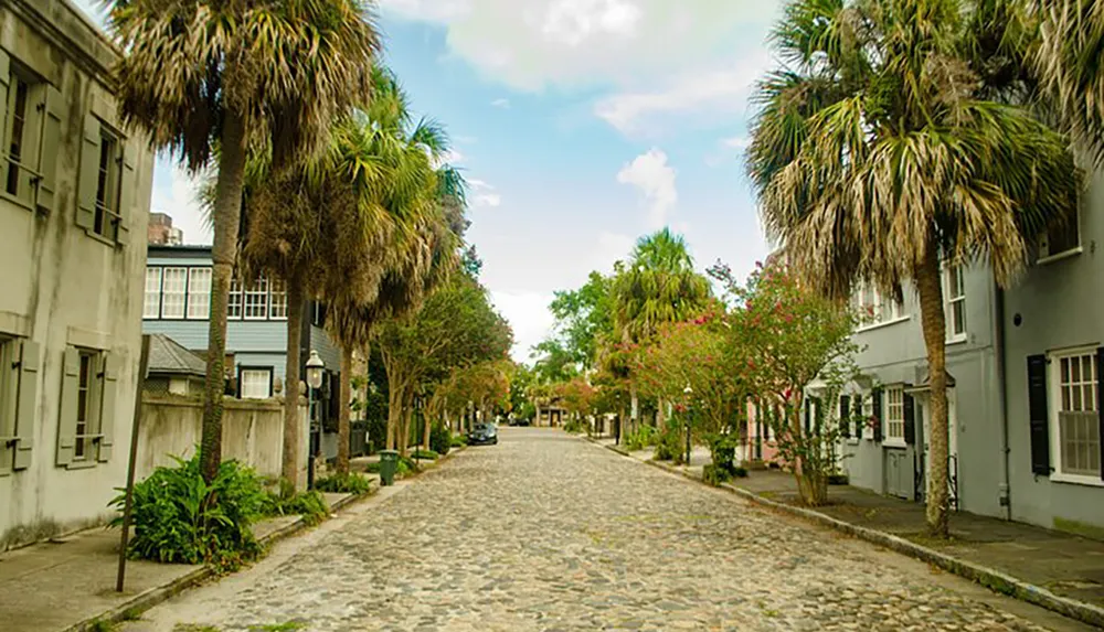 A quaint cobblestone street is lined with palm trees and colorful buildings evoking a sense of historic charm