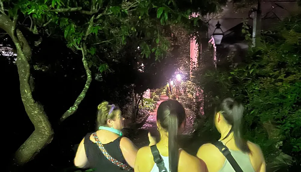 Three people are looking down a dimly-lit foliage-lined pathway at night