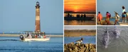 This image is a collage of four separate photos featuring maritime activities and wildlife, with a lighthouse, sunset boat ride, people on a tour boat, and hippos in water.