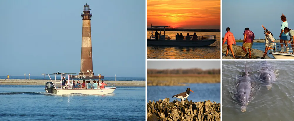 This image is a collage of four separate photos featuring maritime activities and wildlife with a lighthouse sunset boat ride people on a tour boat and hippos in water