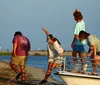 This image is a collage of four separate photos featuring maritime activities and wildlife with a lighthouse sunset boat ride people on a tour boat and hippos in water