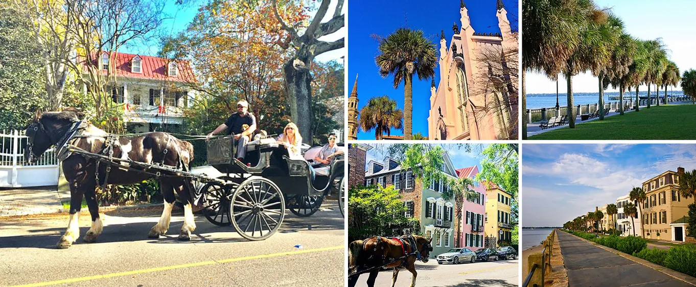Private Historic Carriage Tour of Charleston