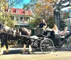A horse-drawn carriage is carrying passengers down a street lined with trees and houses suggesting a leisurely tour or historical ride