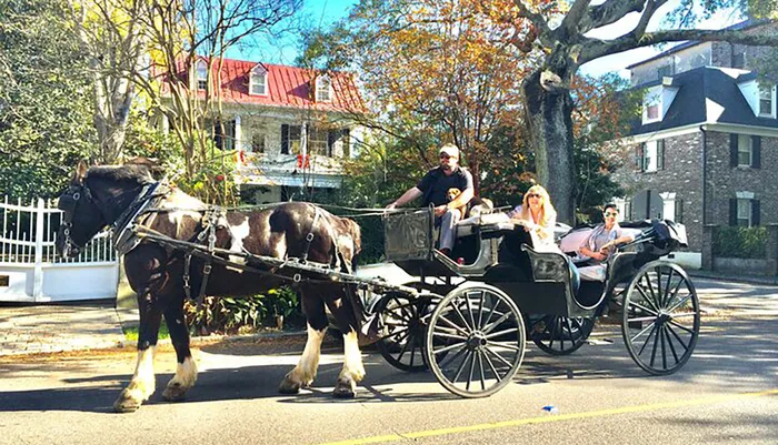 Private Historic Carriage Tour of Charleston Photo