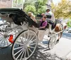 Three smiling people pose for a photo next to a horse that is geared up possibly for a carriage ride
