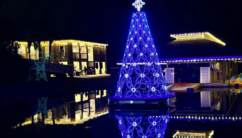 The image depicts a vibrant blue Christmas tree with glowing decorations reflecting on water set against a backdrop of illuminated buildings at night