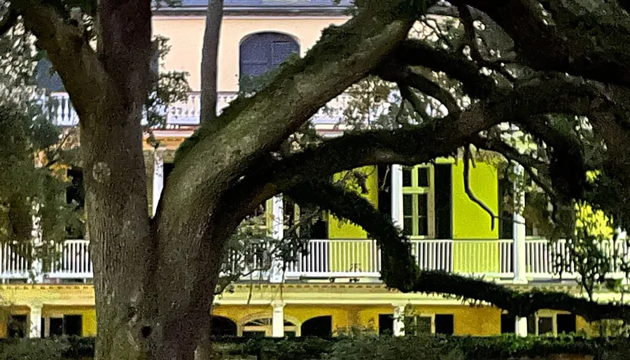 The image shows a glimpse of a traditional house with a balcony and bright green window shutters through the dark branches of a foreground tree.