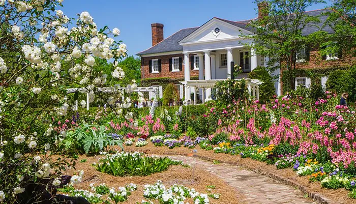 Boone Hall Plantation - All Tours Included With Admission Photo