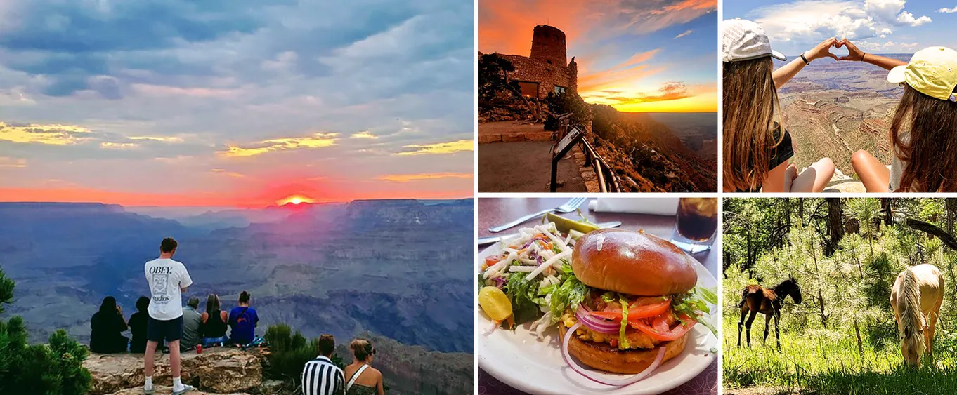 Grand Canyon South Rim Sunset Tour with Dinner