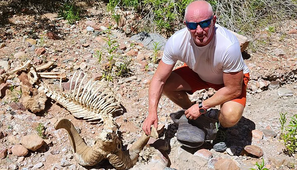 A man crouches next to the skeletal remains of an animal in a rocky terrain holding a bone and wearing sunglasses