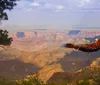 A person in a red and black plaid shirt stands in front of the vast and scenic Grand Canyon under a clear blue sky