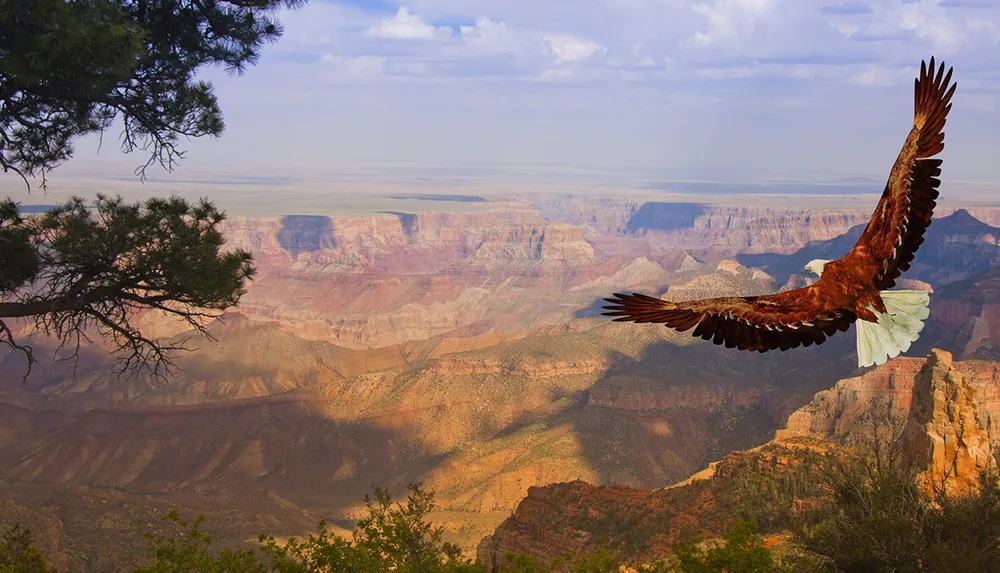 A majestic bird soars over the vast layered rock formations of the Grand Canyon under a soft sky