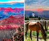 The image features a majestic sunset view over the Grand Canyon with an inset photo of a burger and salad juxtaposing natural wonder with a plated meal