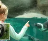 Two polar bears can be seen swimming accompanied by an inset photo of a family observing animals with the caption An unforgettable experience