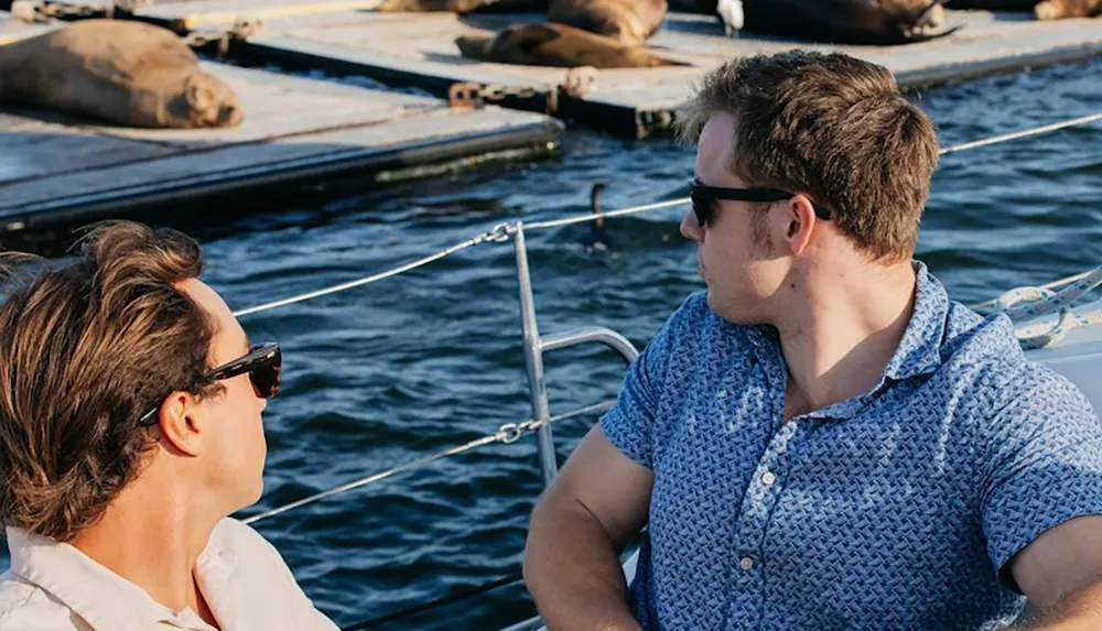 Two people wearing sunglasses are on a boat looking at sea lions on a nearby dock