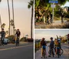 Four people are riding bicycles along a road lined with cars and palm trees at sunset