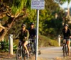 Four people are riding bicycles along a road lined with cars and palm trees at sunset